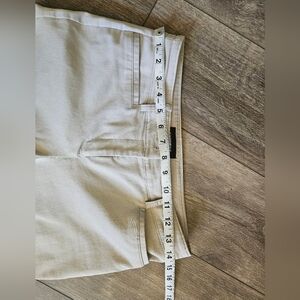 Express cropped pants